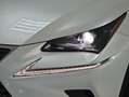 Lexus NX 300 300h Business Navigation 2WD Weiß - thumbnail 18