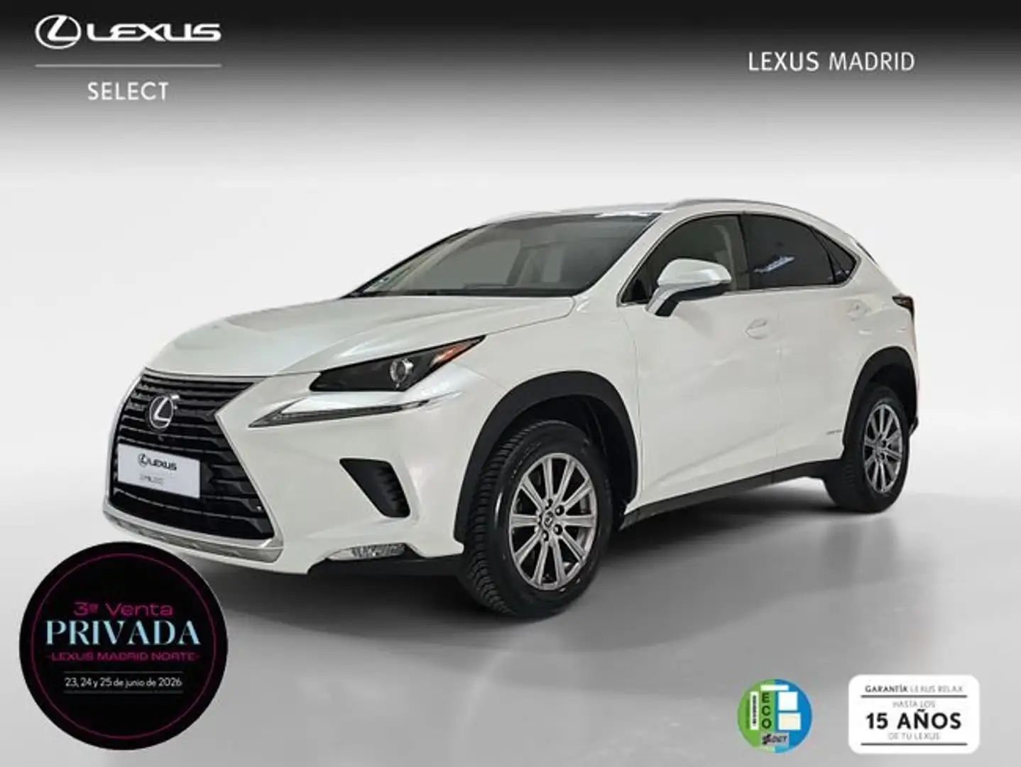 Lexus NX 300 300h Business Navigation 2WD Weiß - 1
