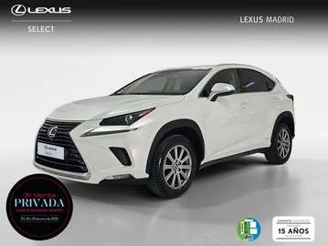 300h Business Navigation 2WD