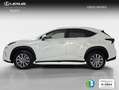 Lexus NX 300 300h Business Navigation 2WD Weiß - thumbnail 3