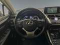 Lexus NX 300 300h Business Navigation 2WD Weiß - thumbnail 10