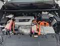 Lexus NX 300 300h Business Navigation 2WD Weiß - thumbnail 21