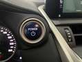 Lexus NX 300 300h Business Navigation 2WD Weiß - thumbnail 12