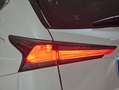 Lexus NX 300 300h Business Navigation 2WD Weiß - thumbnail 19