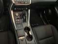 Lexus NX 300 300h Business Navigation 2WD Weiß - thumbnail 15