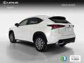 Lexus NX 300 300h Business Navigation 2WD Weiß - thumbnail 2