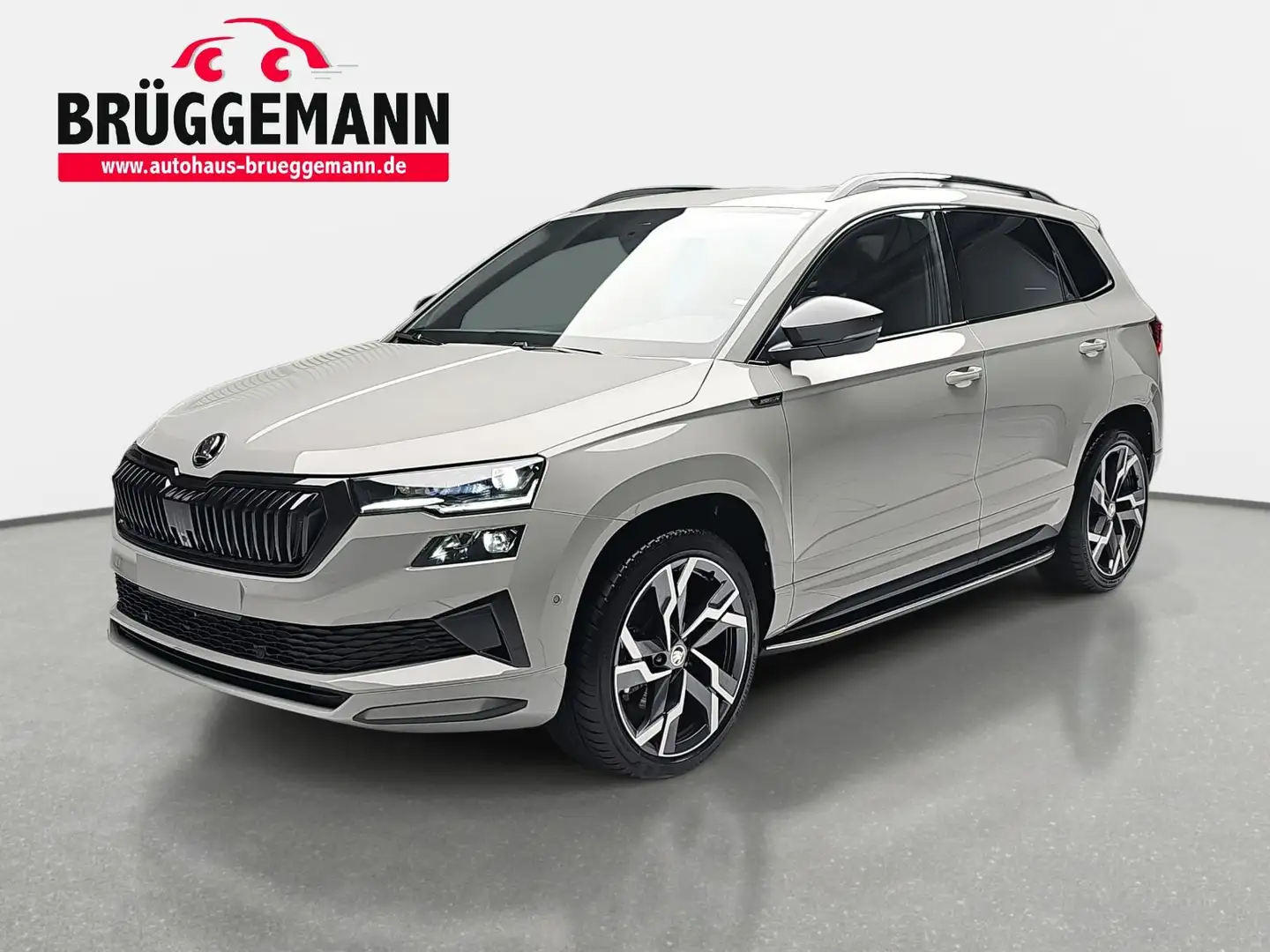 Skoda Karoq KAROQ 2.0 TSI DSG SPORTLINE 4X4 NAVI LED LEDER PAN Grau - 1
