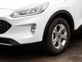 Ford Kuga 2.5 Cool & Connect *ALLWETTER*SITZ-/LENKRADHEIZUNG Weiß - thumbnail 5
