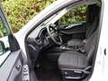 Ford Kuga 2.5 Cool & Connect *ALLWETTER*SITZ-/LENKRADHEIZUNG Weiß - thumbnail 8