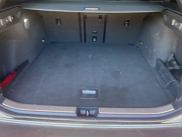 Volkswagen Passat view 13