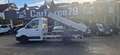 Volkswagen Crafter 35TDI 3 Seiten Kipper AHK KLIMA RÜCKFAHR Weiß - thumbnail 5
