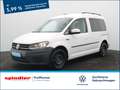 Volkswagen Caddy Kombi Trendline 1.0 TSI/Tempomat, Navi,AHK Weiß - thumbnail 1