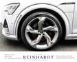 Audi e-tron S BLACK/22Z./MTRX/ACC/PANO/360°/S-SITZE Silber - thumbnail 13