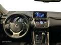 Lexus NX 200t SUV BUSINESS 2.5 Híbrido Gasolina (197CV) Transmi Grau - thumbnail 9