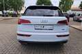 Audi Q5 Q5 40 2.0 tdi  S line Plus quattro 204cv s-tronic Bianco - thumbnail 5