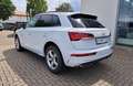 Audi Q5 Q5 40 2.0 tdi  S line Plus quattro 204cv s-tronic Bianco - thumbnail 6