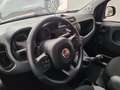 Fiat Panda 1.0 firefly hybrid City Life 70cv PREZZO REALE Bianco - thumbnail 15