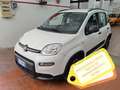 Fiat Panda 1.0 firefly hybrid City Life 70cv PREZZO REALE Bianco - thumbnail 1