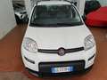 Fiat Panda 1.0 firefly hybrid City Life 70cv PREZZO REALE Bianco - thumbnail 2
