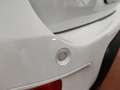 Fiat Panda 1.0 firefly hybrid City Life 70cv PREZZO REALE Bianco - thumbnail 6