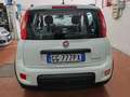 Fiat Panda 1.0 firefly hybrid City Life 70cv PREZZO REALE Bianco - thumbnail 5