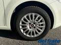 Fiat Punto IV 1.3 Mjt II S&S 95Cv Street 5p Weiß - thumbnail 19
