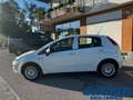Fiat Punto IV 1.3 Mjt II S&S 95Cv Street 5p Weiß - thumbnail 2