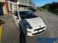 Fiat Punto IV 1.3 Mjt II S&S 95Cv Street 5p Weiß - thumbnail 7