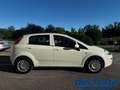 Fiat Punto IV 1.3 Mjt II S&S 95Cv Street 5p Weiß - thumbnail 6