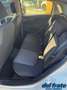Fiat Punto IV 1.3 Mjt II S&S 95Cv Street 5p Weiß - thumbnail 13