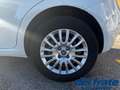 Fiat Punto IV 1.3 Mjt II S&S 95Cv Street 5p Weiß - thumbnail 17