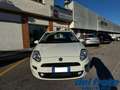 Fiat Punto IV 1.3 Mjt II S&S 95Cv Street 5p Weiß - thumbnail 8