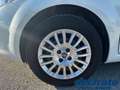 Fiat Punto IV 1.3 Mjt II S&S 95Cv Street 5p Weiß - thumbnail 20