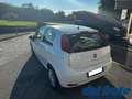 Fiat Punto IV 1.3 Mjt II S&S 95Cv Street 5p Weiß - thumbnail 3