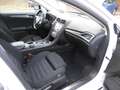 Ford Mondeo 2,0 EcoBlue **TOP Paket** Blanc - thumbnail 5