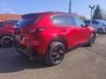 Mazda CX-5 e-Skyactiv 2,5 G141 MHEV AWD ALLRAD HOMURA Auto... Rot - thumbnail 14