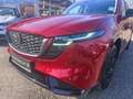 Mazda CX-5 e-Skyactiv 2,5 G141 MHEV AWD ALLRAD HOMURA Auto... Rot - thumbnail 10