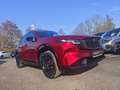 Mazda CX-5 e-Skyactiv 2,5 G141 MHEV AWD ALLRAD HOMURA Auto... Rot - thumbnail 6