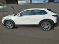 Mazda CX-30 D116 Comfort+ - thumbnail 8