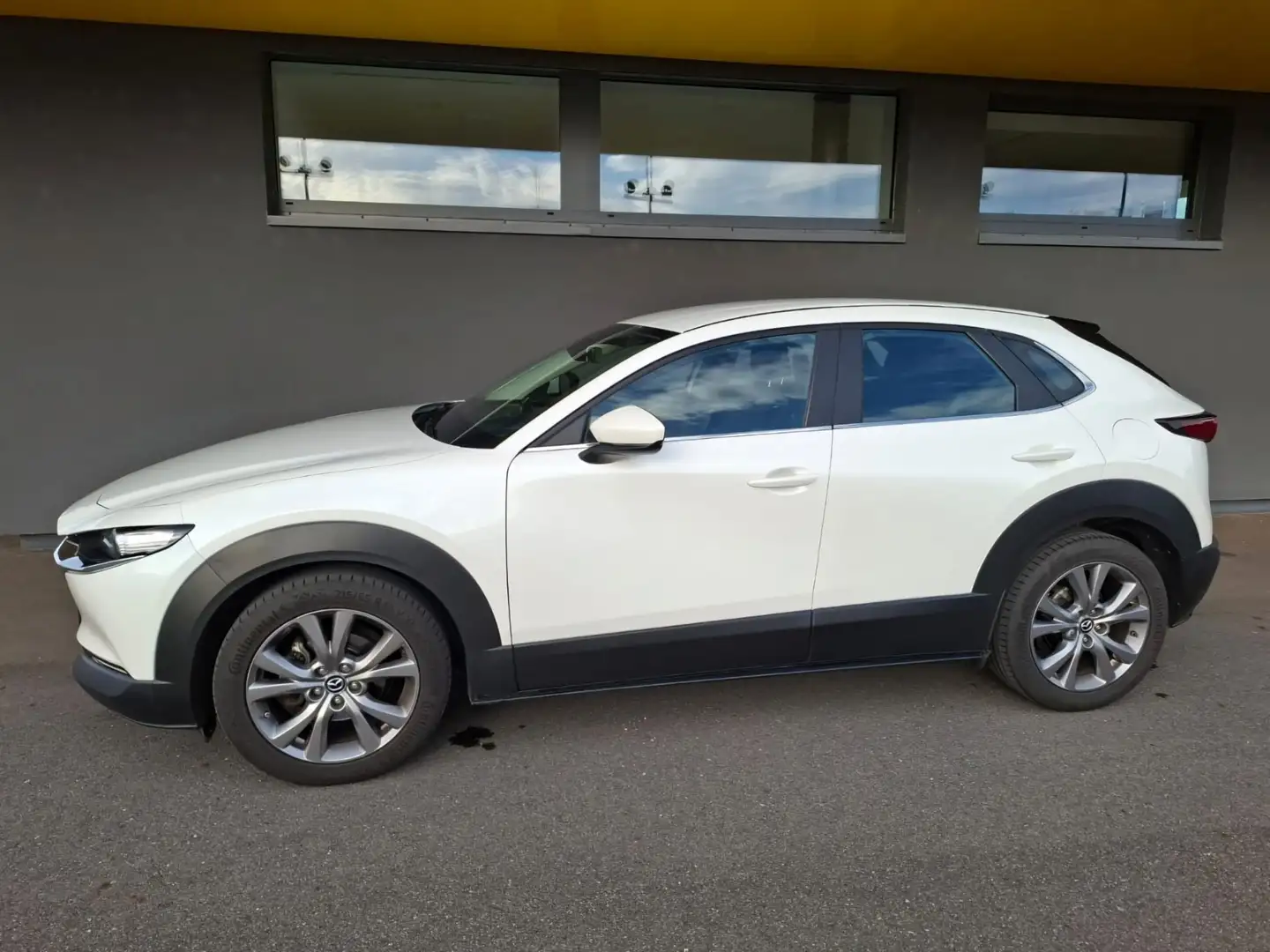 Mazda CX-30 D116 Comfort+ - 2