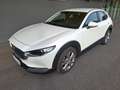 Mazda CX-30 D116 Comfort+ - thumbnail 10