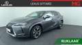 Lexus UX 250h Executive Line, Unieke auto, 1e eigenaar. Grigio - thumbnail 1