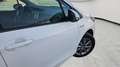 Toyota Yaris 100H 1.5 Active Blanco - thumbnail 18