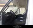 Iveco Daily 35C14 2.3 HPT PC-RG CASSA 8 BANCALI Bianco - thumbnail 6