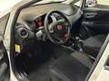 Fiat Punto Evo TwinAir / Panorama / Cruise / Lounge / 2014 / Airc Blanc - thumbnail 4