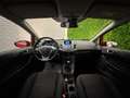 Ford Fiesta Fiesta VI 2013 5p 1.2 Plus 82cv Rouge - thumbnail 12