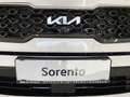 Kia Sorento 7-Sitze/Schiebedach  Plug-In-Hybrid 265PS White - thumbnail 5