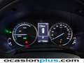 Lexus NX 300 300h Business Navigation 2WD Gris - thumbnail 26