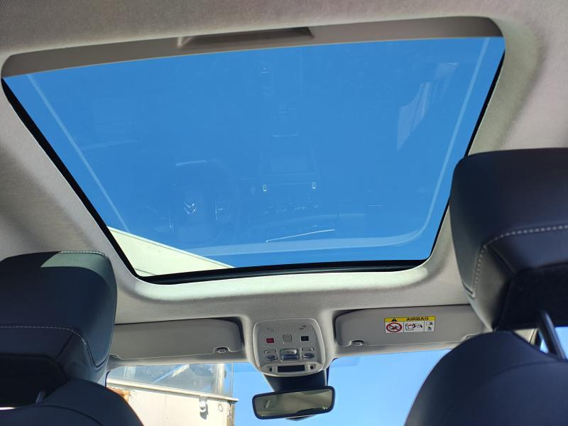 Citroen C4 X Shine Pack / EAT8 — photo 10