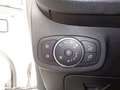 Ford Fiesta 1.1 75 CV GPL 5 porte Plus Bianco - thumbnail 11